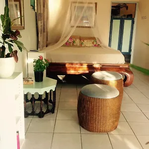 https://magical-garden.comcaribbean.com